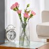Vaso Vento Ins Vaso de Vidro Nórdico Transparente Água Sala de Estar Vaso Simples Ornamentos de Flores Decoração de Casa