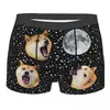 Dropshipping con Imágenes Se Puede Convertir en Ropa Interior Boxer Elástica Cómoda Transpirable para Hombre con Estampado de Gato 3D para Mascotas y Perros