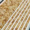 Atacado de Fábrica Contas de Raiz de Bodhi de Jade Branco, Contas Soltas para Artesanato DIY Feito à Mão com Sementes de Bodhi, Contas de Oração Budistas, Materiais para Montagem de Pulseiras