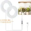 Lámpara LED para Crecimiento de Plantas Soporte para Flores Pared de Plantas Verdes Maceta Suculenta Flor Espectro Completo Techo Relleno de Luz para Plantas Fábrica
