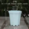 Oitogonal Plástico Suculenta Pequeno Vaso de Flor Suporte Espessado Pacote Combinação Planta Verde Mesa Simples Varanda Generoso Preto e Branco Bacia
