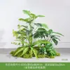 Paisajismo de Plantas Verdes Paisaje de Sala de Estar Interior Paisajismo Debajo de la Ventana de las Escaleras Arreglo de Decoración Plantas Falsas Biónicas