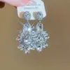 Brincos Longos Exagerados de Franja Gota d'Água com Zircônia Agulha de Prata para Mulheres Tendência Ins Luxo Acessível Brincos de Nicho Brincos Exagerados