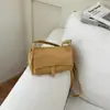 Bolso de Hombro Tejido para Mujer, Bolso Cruzado Modelo Nuevo 2026, Bolso Versátil con Acabado de Lujo, Bolso de Hombro Casual, Bolso de Mano