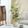 Ins Jiuli Escandinavo Planta Verde Fragante en Maceta Florales Oficina Sala de Estar Escritorio Interior Adornos Purificar el Aire y Eliminar Formaldehído