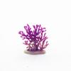 Modelo de Coral Submarino Juguete Decoración de Acuario Animales Marinos Set Micro Paisajismo Paisajismo Micro Paisaje Hierba Marina