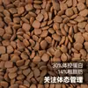 Fabricante de Ração para Cães com 22%-38% de Proteína no Atacado, Adequada para Todas as Fases, Processamento OEM com Marca Própria, para Lares com Múltiplos Animais e Canis, 20kg