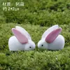 Acessórios para Vasos de Flores de Micro Paisagismo Decorações de Suculentas DIY Mini Animais Fofos Conjunto de Três Peças Pequenos Enfeites