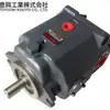 Japón Toyooki Toyooki Bomba de Pistón Hpp-Vd2V-F31A3-A Hvp-Fce1-F32-60R-A-G