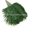 Fabricantes de Materiales para Coronas de Flores Venden una Gran Cantidad de [Hojas de Girasol] Suministros Funerarios Productos de Papel