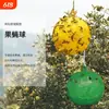 Bolas pegajosas atrayentes de moscas, trampas para moscas de la fruta, bolas pegajosas repelentes de insectos para atrapar insectos de interior y exterminar plagas en exteriores
