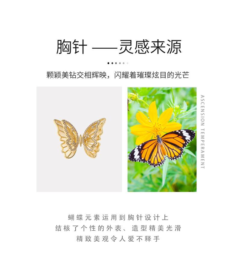 详情页_02.jpg