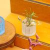 Yqt Miniatura Mini Vaso Falso Vaso de Flores Ímã de Geladeira DIY Acessórios de Resina Criativos Decoração de Casa de Boneca Moderna Brinquedos