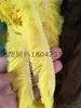 Renda com franjas de fio de algodão, borlas, fio de poliéster espesso, base de algodão, borda, cores fluorescentes, decoração colorida