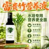 Bambú de la suerte Planta Hidropónica Solución Nutritiva Bambú de Transporte Bambú Guanyin Raíces de Bambú Hojas Amarillas Solución Nutritiva Especial para Bambú de la Suerte