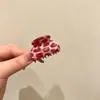 Pinza de pelo pequeña con garra para temperamento de princesa, pinza de pelo lateral estilo coreano exquisita, sensación de alta gama, nuevo pinza de pelo para media coleta 2026