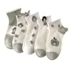 Calcetines Cortos para Mujer Primavera y Verano Delgados Dibujos Animados Niña Pequeña Damas Caña Corta Lindos Estudiante Estilo Coreano Estilo Universitario Calcetines para Mujer