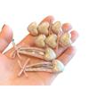 Clip para el pelo de niña con forma de corazón color dorado champán coreano, clip para flequillo, clip lateral, diadema para cabello de bebé, goma elástica, accesorios para el cabello, accesorios para el cabello para niños