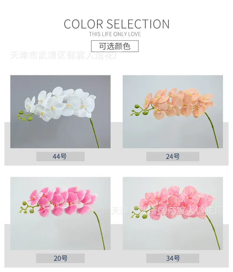 详情_02.jpg