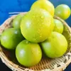 Laranja-Rochedo de Casca Verde Autêntica de Yunnan da Montanha Ailao, Fruta Fresca da Estação 3/5/ 4,5kg Colhida na Hora, Casca Fina, Suculenta e Doce