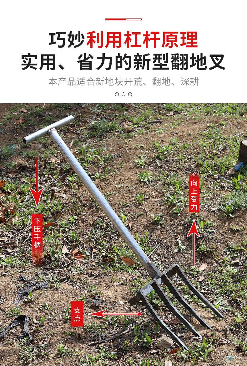 详情页_06.jpg