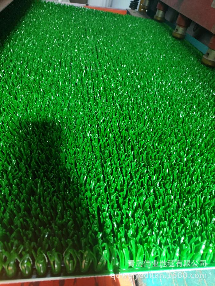 IMG20230220111502.jpg