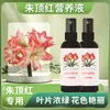 Solución Nutritiva Concentrada Especial para Bulbos de Amarilis, Fertilizante para Flores en Maceta, Suplementa Nitrógeno, Fósforo, Potasio y Oligoelementos