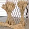 Decorações Agrícolas, Espigas de Trigo, Flores Secas, Espigas de Arroz, Sorgo, Painço, Caules de Gergelim, Galhos Secos, Buquês de Flores, Arranjos Florais, Adereços para Festa da Colheita