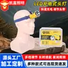 Procesamiento Personalizado de Iluminación LED Frontal de Alto Brillo para Pesca con Batería de Litio Recargable de Larga Duración