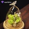 Mxmade Capa de Vidro Criativa com Paisagem Capa de Vidro Borboleta Vaso de Micro Paisagem Capa de Vidro Flor Eterna