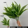 Arranjos Florais para Casamento, Materiais Florais Verdes, Folhas, Plantas, Folhas de Cauda de Fênix, Eucalipto, Fundo para Casamento, Adereços de Plantas Verdes para Sessões de Fotos
