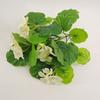 Flor Artificial Flor de Begonia 5 Ramas Flor Pequeña Rosa Flor de Seda Flor Falsa Planta Verde Decoración del Hogar Colocación del Proyecto