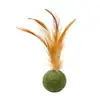 Nova bola de catnip, bola de brinquedo de pena para gatos, petisco para gatos, bola de grama de menta para gatos para limpeza de dentes e mastigação, ajuda a gastar energia