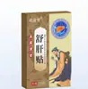 Parche Chun Rui Farmacéutico para Estómago y Bazo, Parche para Amígdalas, Parche Gastrointestinal, Parche Calmante para el Hígado, Parche para Mal Aliento Gastrointestinal, Uso Externo, Personalización OEM con Etiqueta Privada