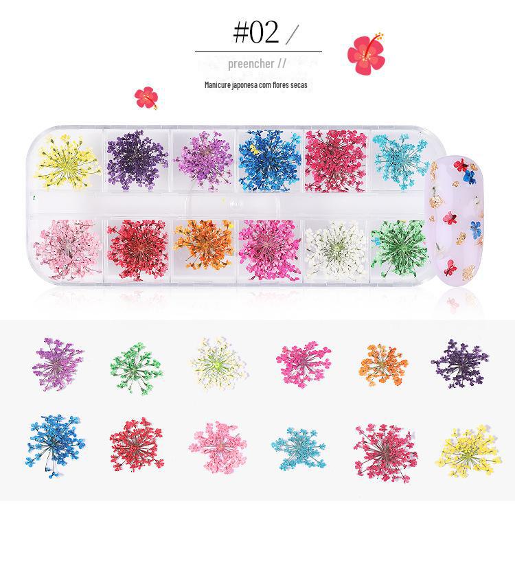 美甲干花 蕾丝干花 水仙花