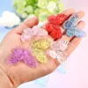 Acrílico Novo Glitter Fino Colorido Transparente Acessórios de Borboleta Pequenos Animais Pedra de Cristal Série de Brinquedos Atacado