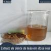 Extrato de Dente-de-Leão Flavonoides Totais Yizhimin em Estoque Extrato de Dente-de-Leão Solúvel em Água Pó de Dente-de-Leão