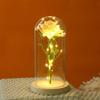 Nova Tampa de Acrílico para Flores Preservadas, Decoração Atmosférica Criativa para o Festival Qixi, Ornamento Transparente de Rosa