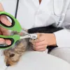 Cortauñas de acero inoxidable para gatos con agujero redondo, cortauñas para uñas pequeñas ciegas, cortauñas especial para perros principiantes, accesorios para mascotas