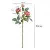 Arranjo de Flores Secas Estilo Pintura a Óleo Vintage com Borda Queimada de Rosa e Lótus para Sala de Estar, Mesa de Jantar, Gabinete de TV, Decoração de Flores, Peônia