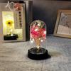 Pantalla de lámpara de plástico mini transfronteriza luz de noche decoración regalo del Día de la Madre luminoso Cielo Estrellado flor seca flor de jabón de rosa