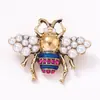 Moda Exquisita Versátil Estilo Pastoral Diseño Creativo Broche de Insectos Simple Nicho Accesorio para Mujer Transfronterizo Europeo y Americano