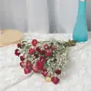 Gipsófila Rosa Ramo Seco Real de Año Nuevo Flor Eterna Decoración de Oficina Accesorios para el Hogar Estilo Ins Escandinavo