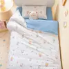 Colcha de Algodón Puro para Niños Colcha de Invierno Especial para Guardería Colcha de Algodón Colcha de Algodón de Xinjiang Niño Niña Engrosada Desmontable