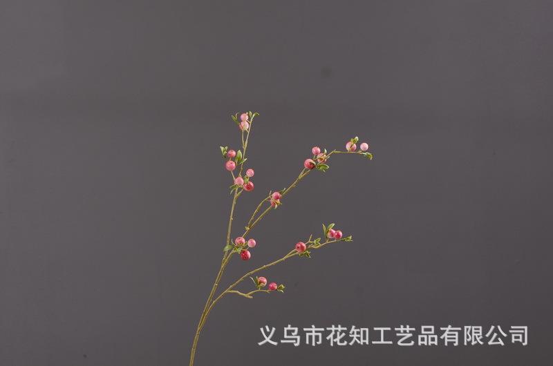 3-5粉色安迪小白果.jpg
