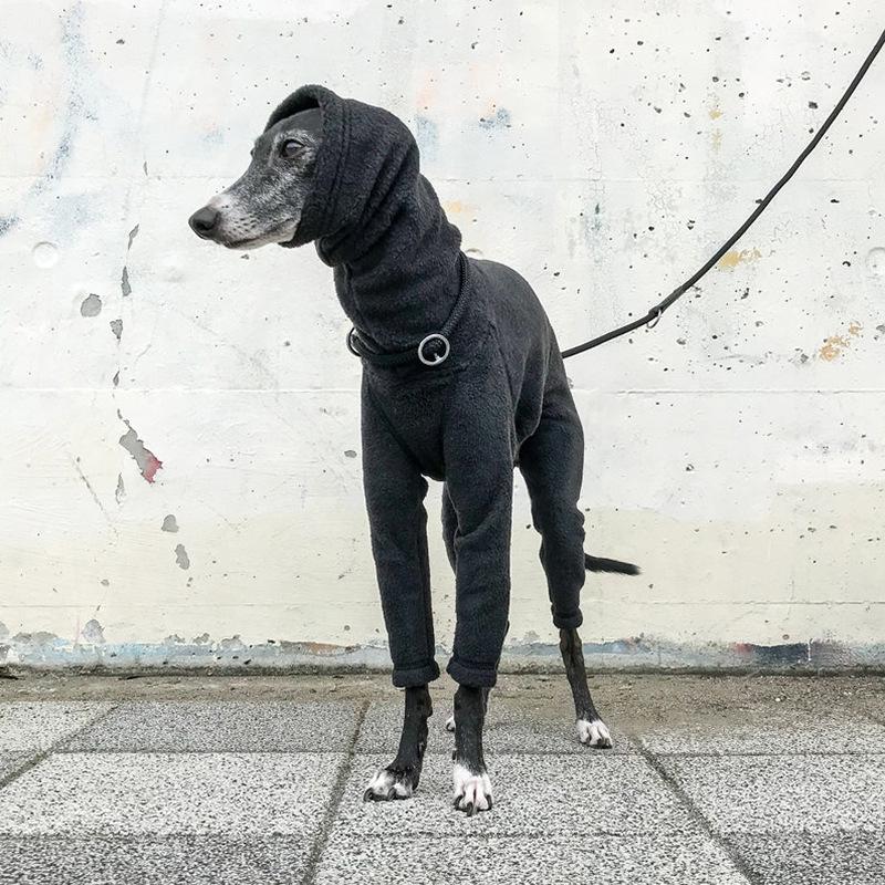 il_794xN.2015833946_aiuy