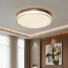 Luminária de Teto para Sala de Estar em Estilo Medieval 2025 Novo Designer Criativo Quente Sala de Estar Quarto Lâmpadas de Quarto High-End