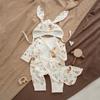 Ropa de Primavera y Otoño para Niños, Ropa para Recién Nacido, Mameluco para Bebé, Ropa Estilo Monje Clase A, Algodón Algodón Puro Manga Larga