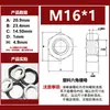 Porca Hexagonal de Plástico de Nylon Porca de Travamento Fixo de Pp M10/12/16/20/25/32/40/50*1.5 Flange