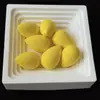 Mini Esponja de Beleza 2*3 Mini Esponja de Maquiagem Macia Ovo de Maquiagem Puff para Corretivo Parcial Ferramenta Cosmética